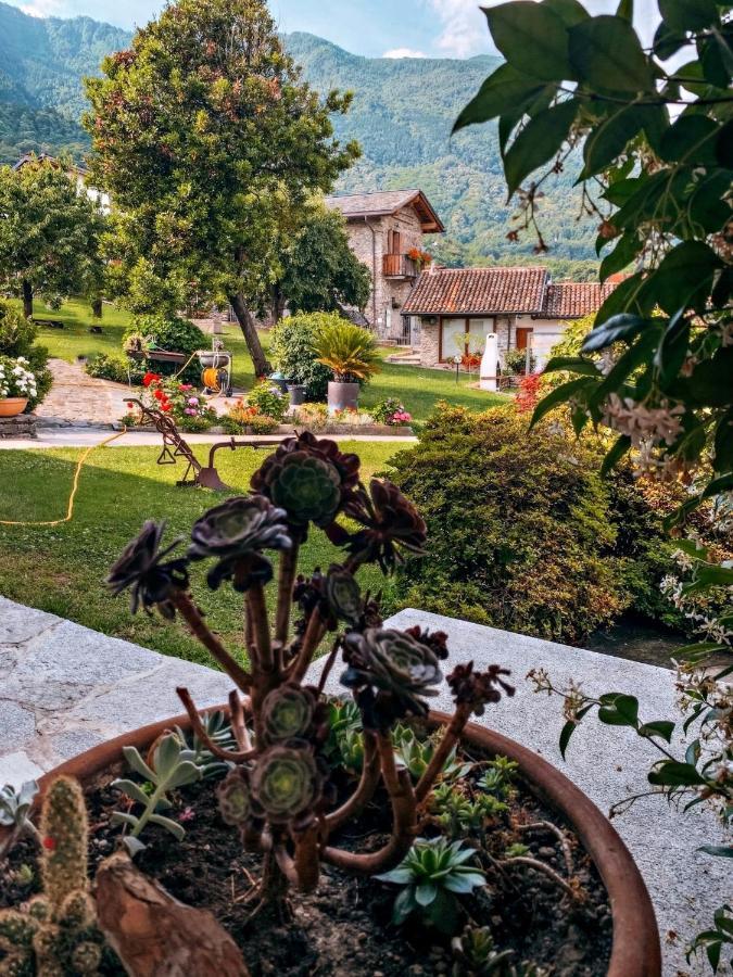 Il Fienile - Lake Como Heritage Home In Molino Maufet Watermill - Lake View Terrace 科利科 外观 照片