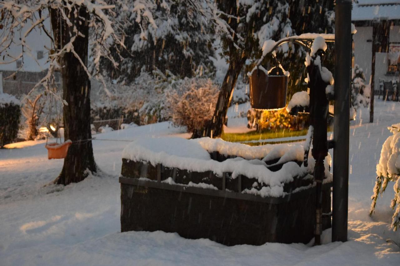 Il Fienile - Lake Como Heritage Home In Molino Maufet Watermill - Lake View Terrace 科利科 外观 照片