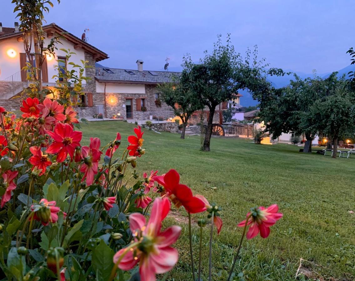 Il Fienile - Lake Como Heritage Home In Molino Maufet Watermill - Lake View Terrace 科利科 外观 照片